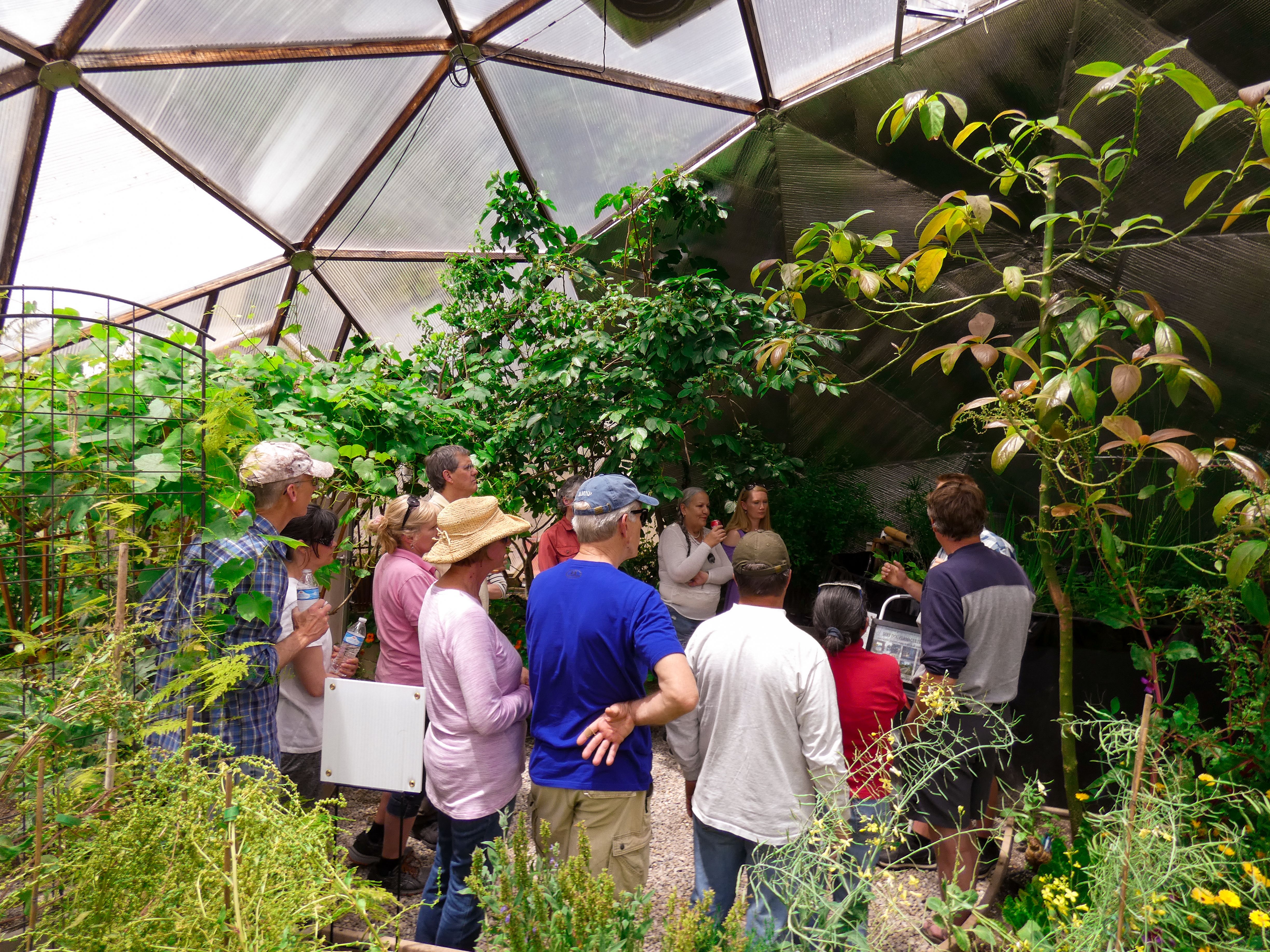 Growing Spaces Ambassador Program image