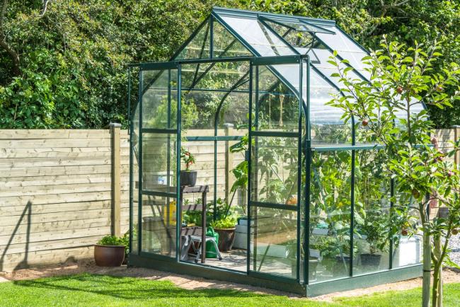 Gothic style greenhouse with green metal structure and glass panels