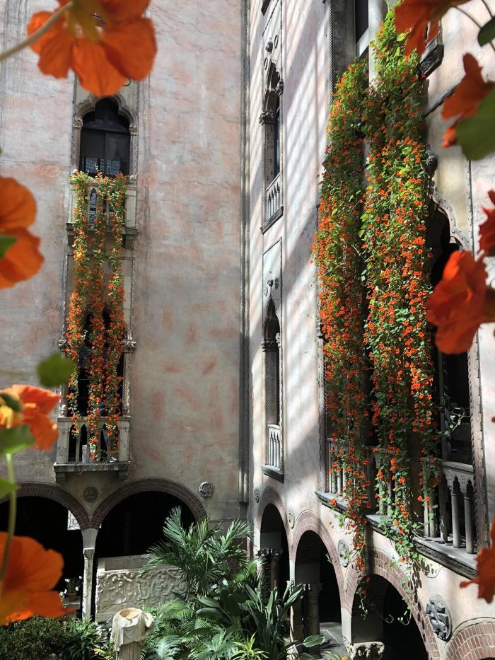 Long trailing nasturtium vines hanging outside Isabella Stewart Gardner Museum photo by Jenny Pore