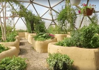 Screen Shot 2018-08-20 at 2.19.23 PM