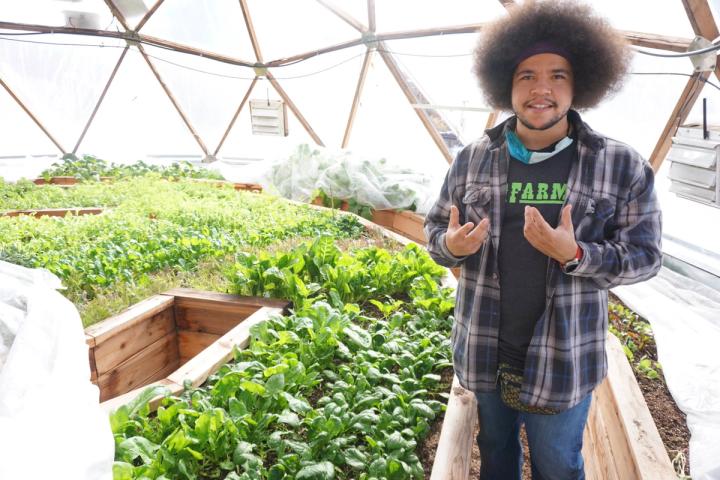 Farmer Malik in the GoFarm Growing Dome with many small green starts