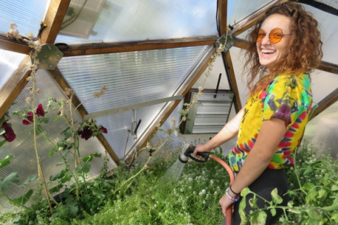 watering plants in a greenhouse