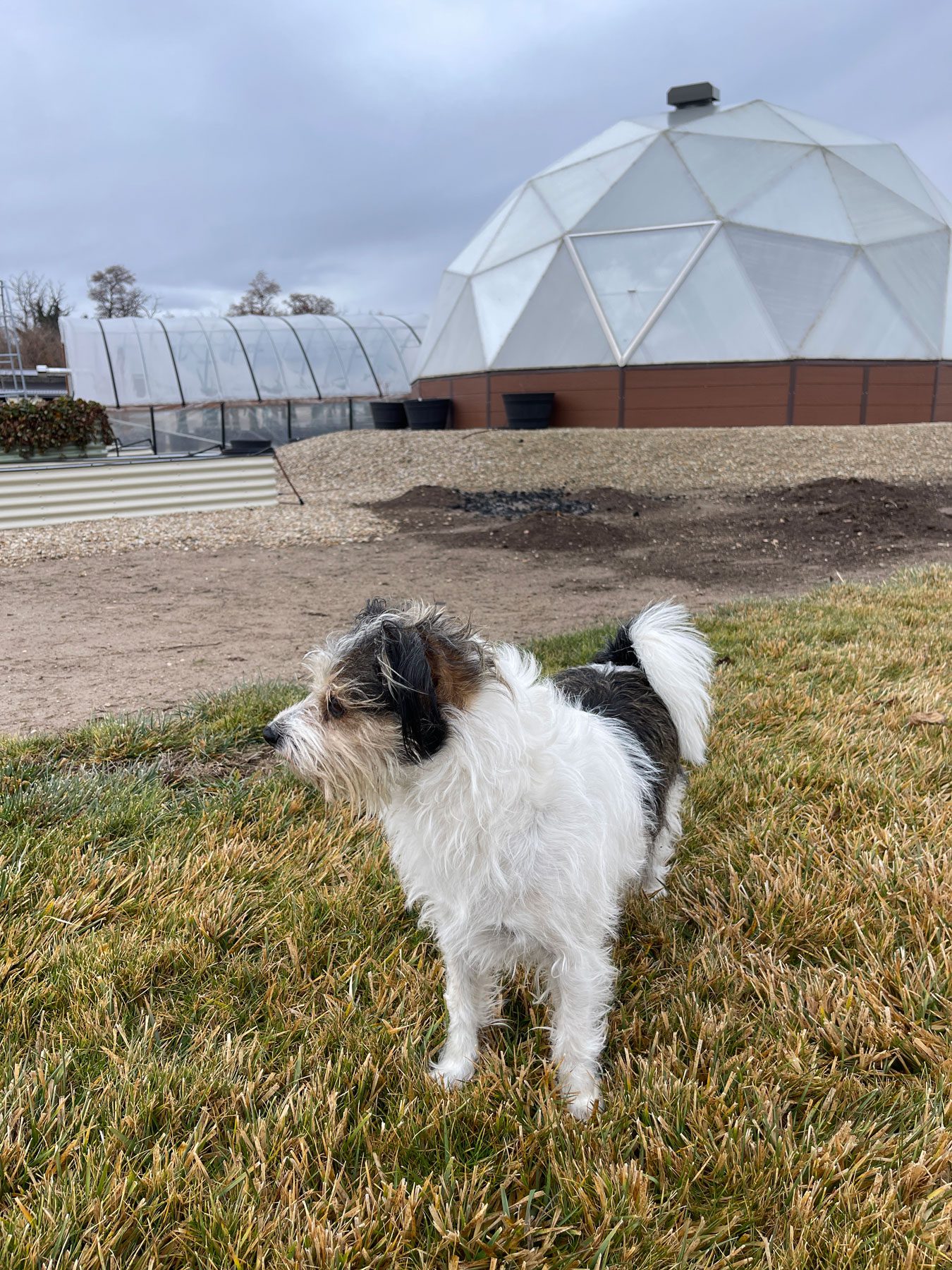 Idaho Growing Dome growing tropical plants in Nampa