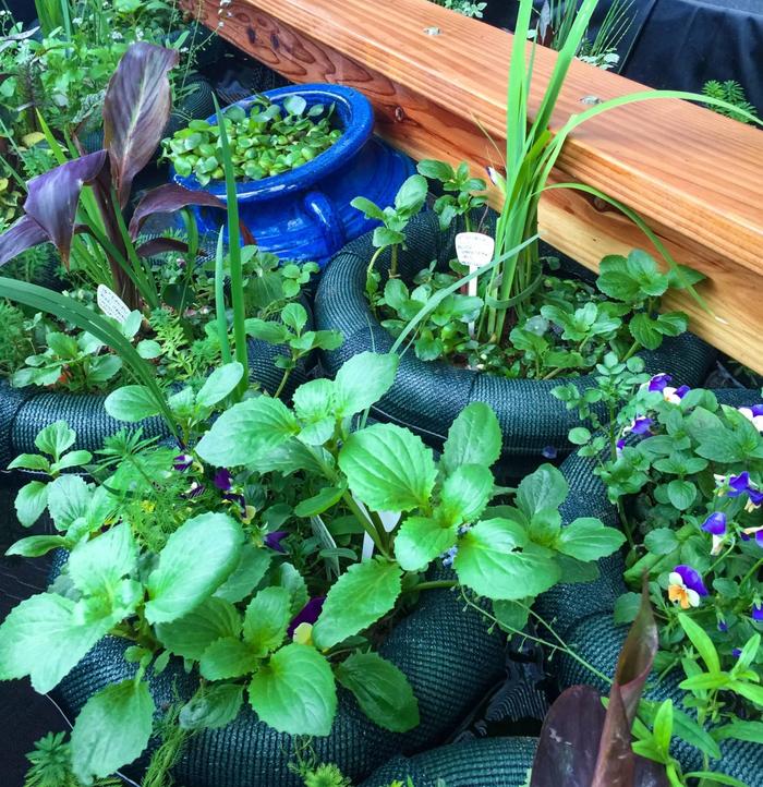floating island planters in an above-ground pond