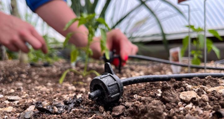 Irrigation system in greenhouse