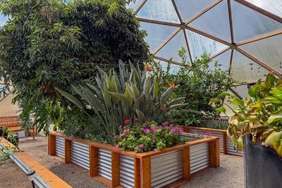mixed planting raised bed in a Growing Dome greenhouse