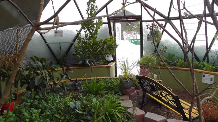 snow piled up on the outside of a greenhouse where it is green and lush inside