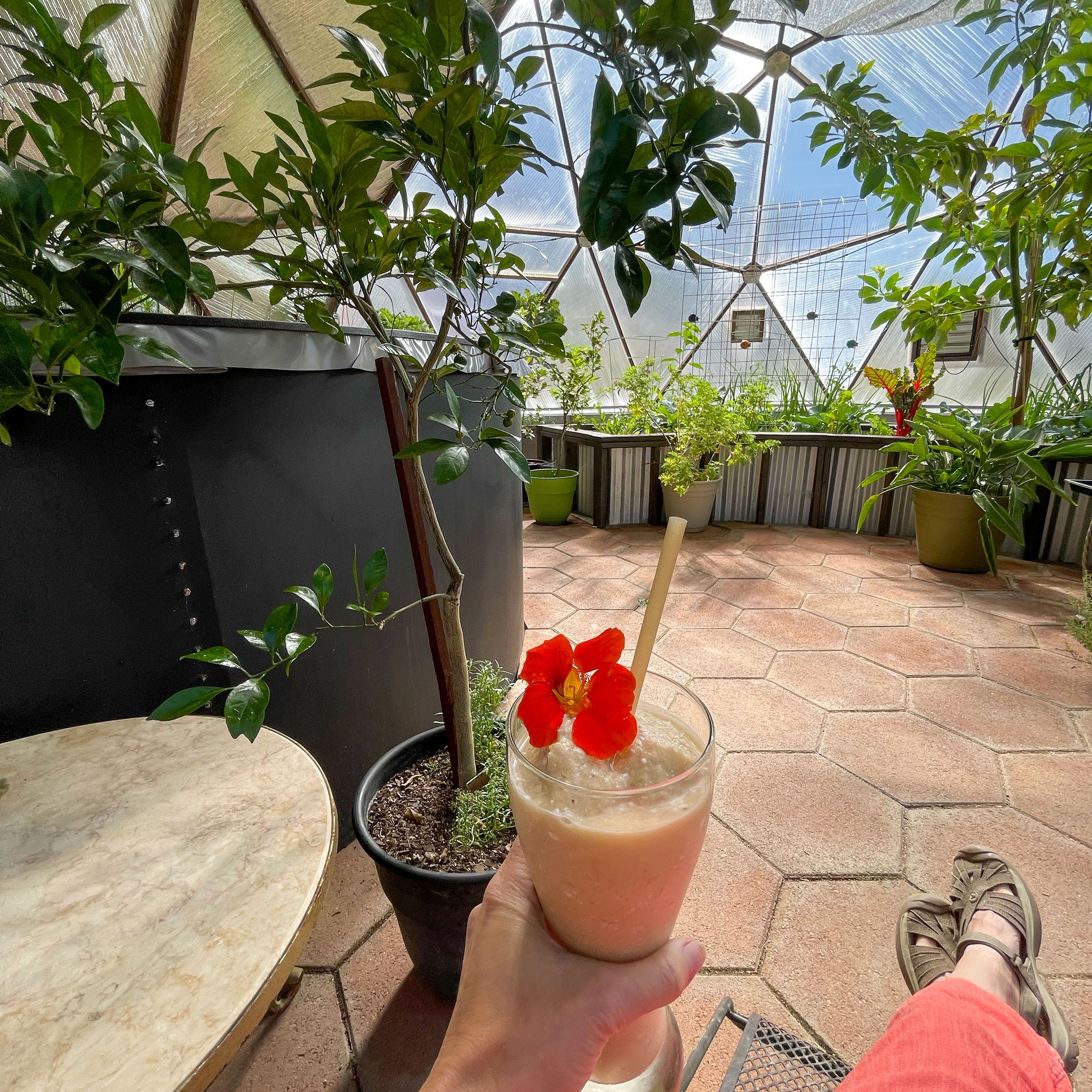 relaxing in a growing dome greenhouse with a frozen drink in hand