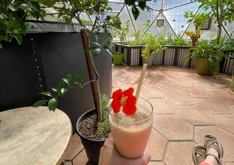 relaxing in a growing dome greenhouse with a frozen drink in hand