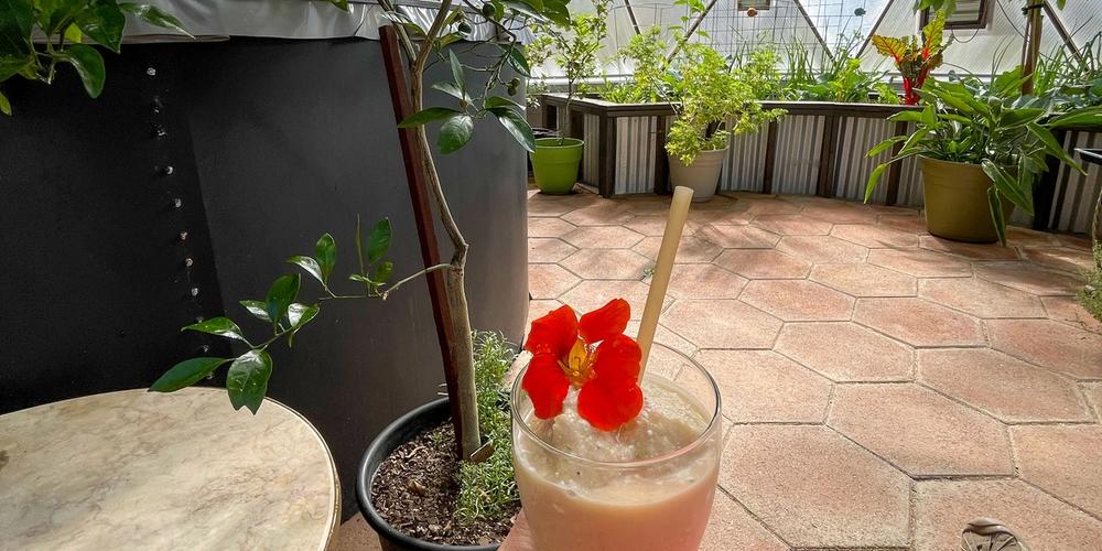 relaxing in a growing dome greenhouse with a frozen drink in hand