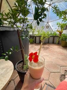 relaxing in a growing dome greenhouse with a frozen drink in hand