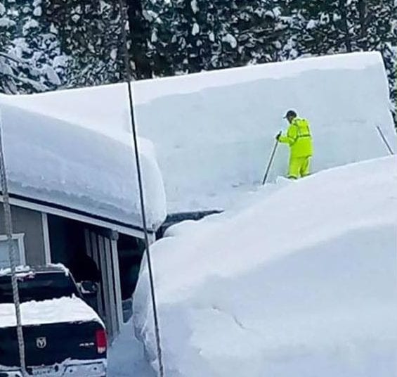 gardening in the snow