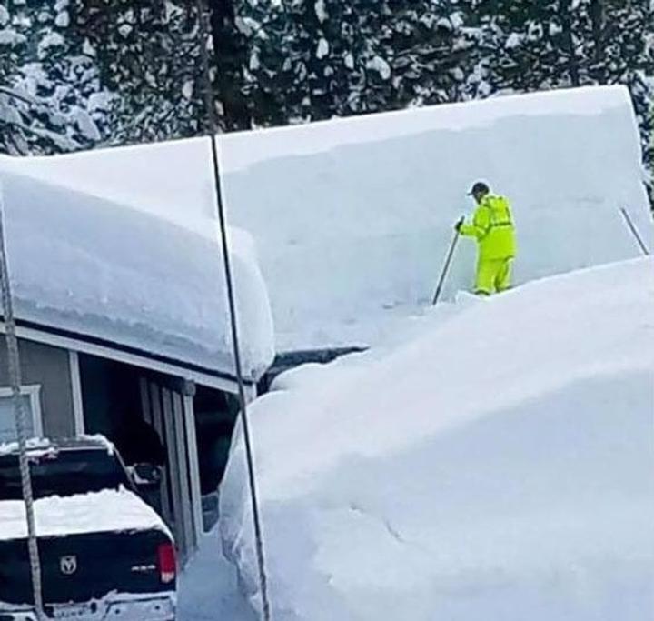gardening in the snow