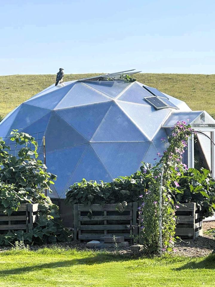 Nielson's Nebraska greenhouse