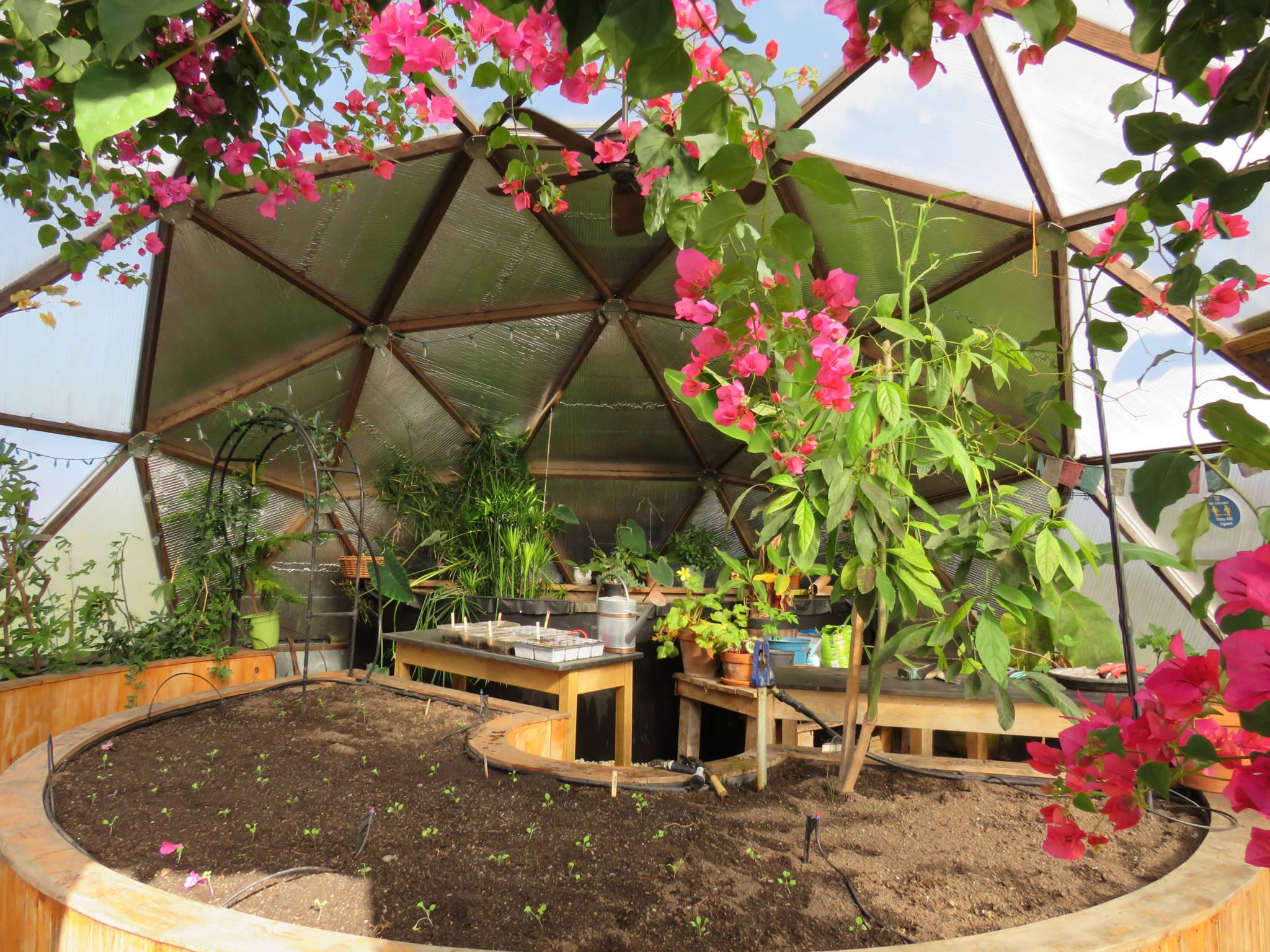Raised beds and plants inside a Connecticut school greenhouse