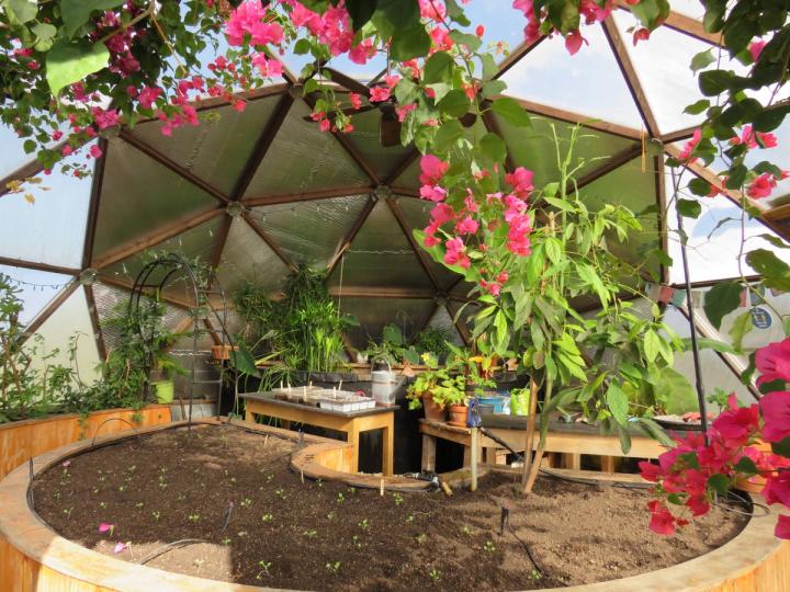 inside school greenhouse in Connecticut