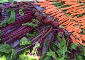 Green Living 101: Grow Your Own Food image