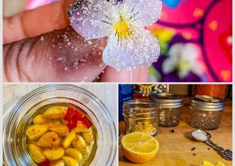 salt_sugar_oil_preservation_methods