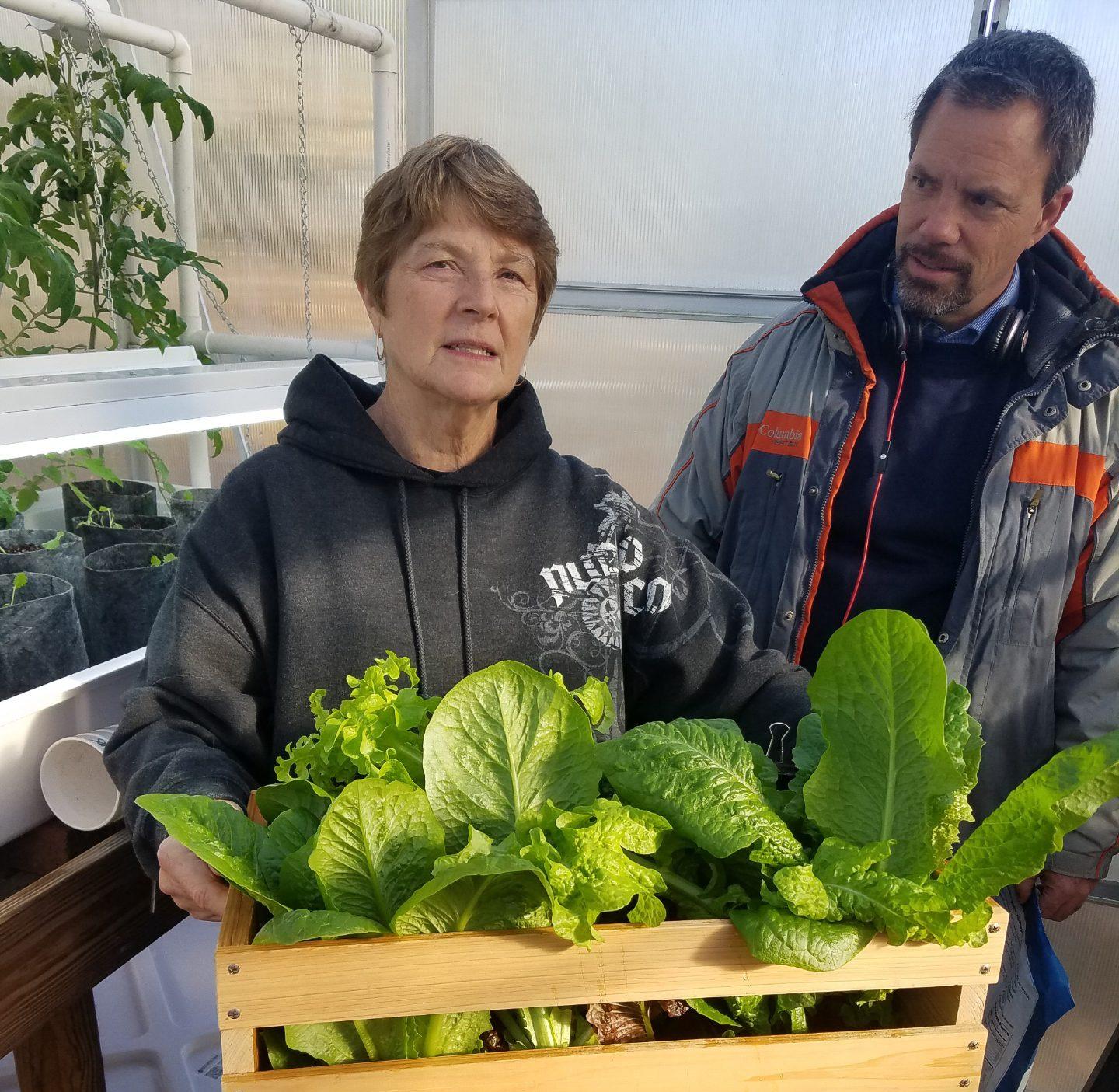 Fresh greens harvested from a North Carolina greenhouse