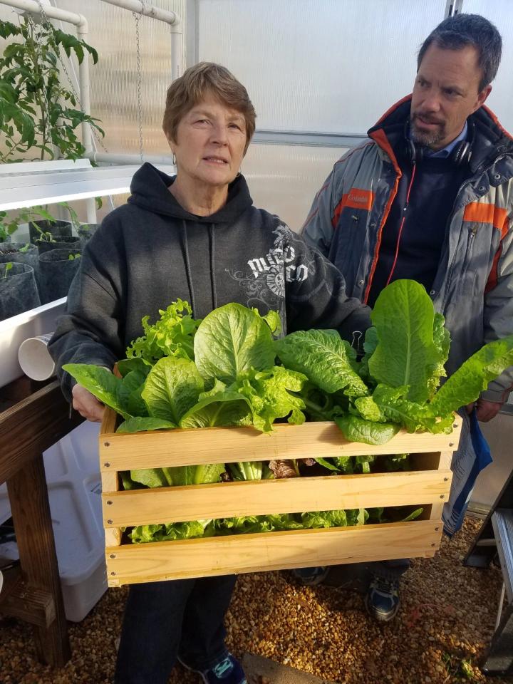 fresh harvested greens from a North Carolina greenhouse