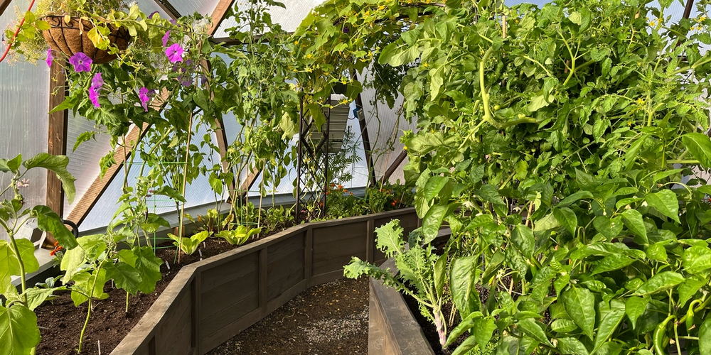 Secrets of Year Round Gardening Revealed image