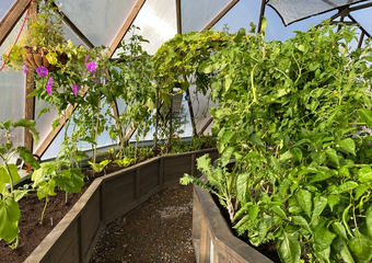 Secrets of Year Round Gardening Revealed image