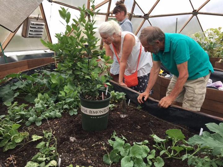 Gardeners in a community Growing Dome greenhouse