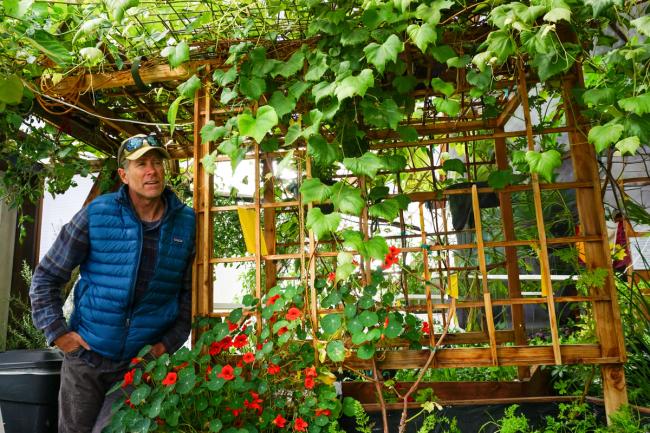 Man leaning on a trellis in a dome greenhouse filled with green vines and red flowers