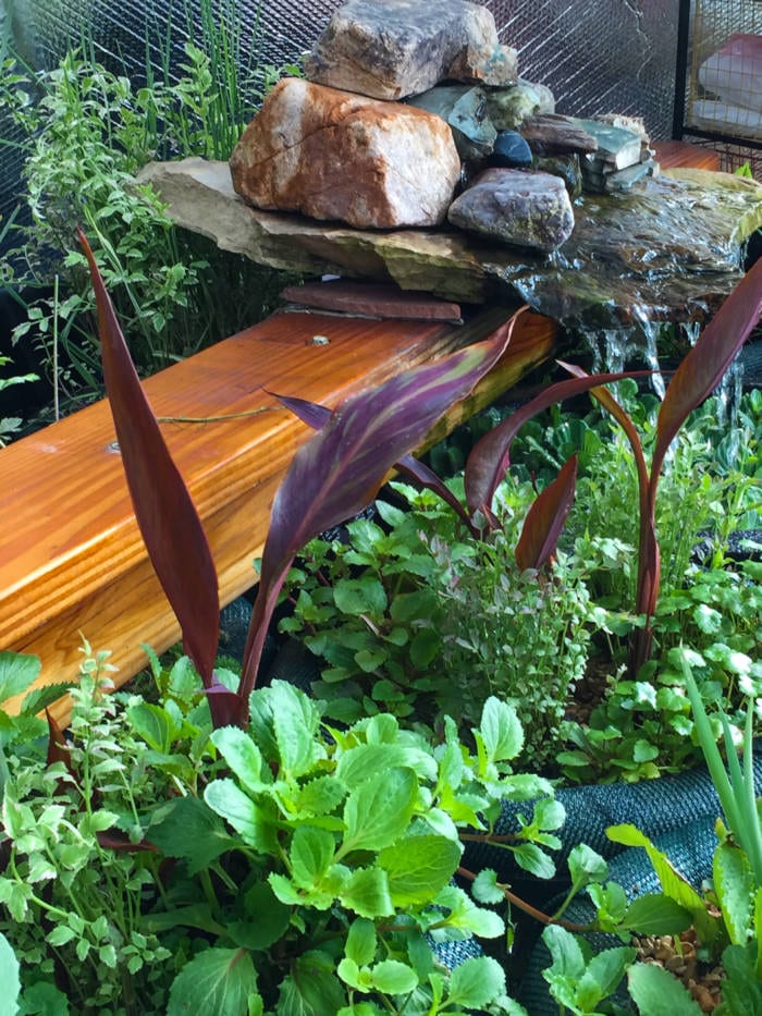 Preventing Algae with Floating Pond Planters