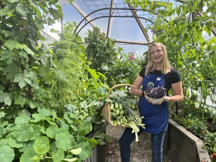 Woman holding a large harvest basket of greens and cucumbers and a bowl of purple beans standing in a forest garden greenhouse