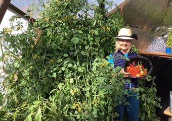 Living in Gratitude this Season