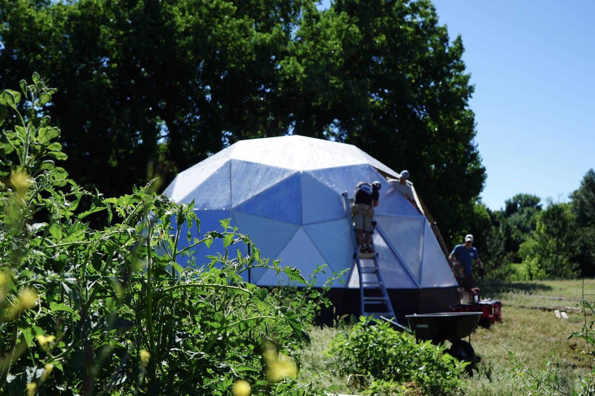 Three people working on a growing dome geodesic greenhouse exterior