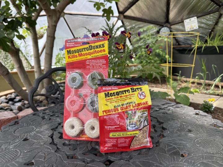 Red packages of MosquitoBits and MosquitoDunks resting on a black table in a greenhouse with purple and yellow violas in the background