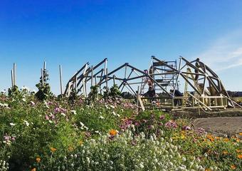 Wooden-Greenhouse-Kit-Dome