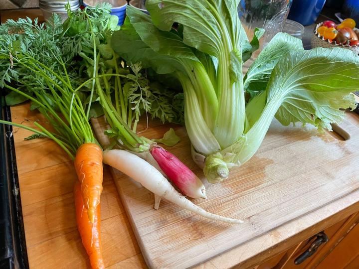carrots, radishes, and bok choy freshly harvested and sitting on a cutting board