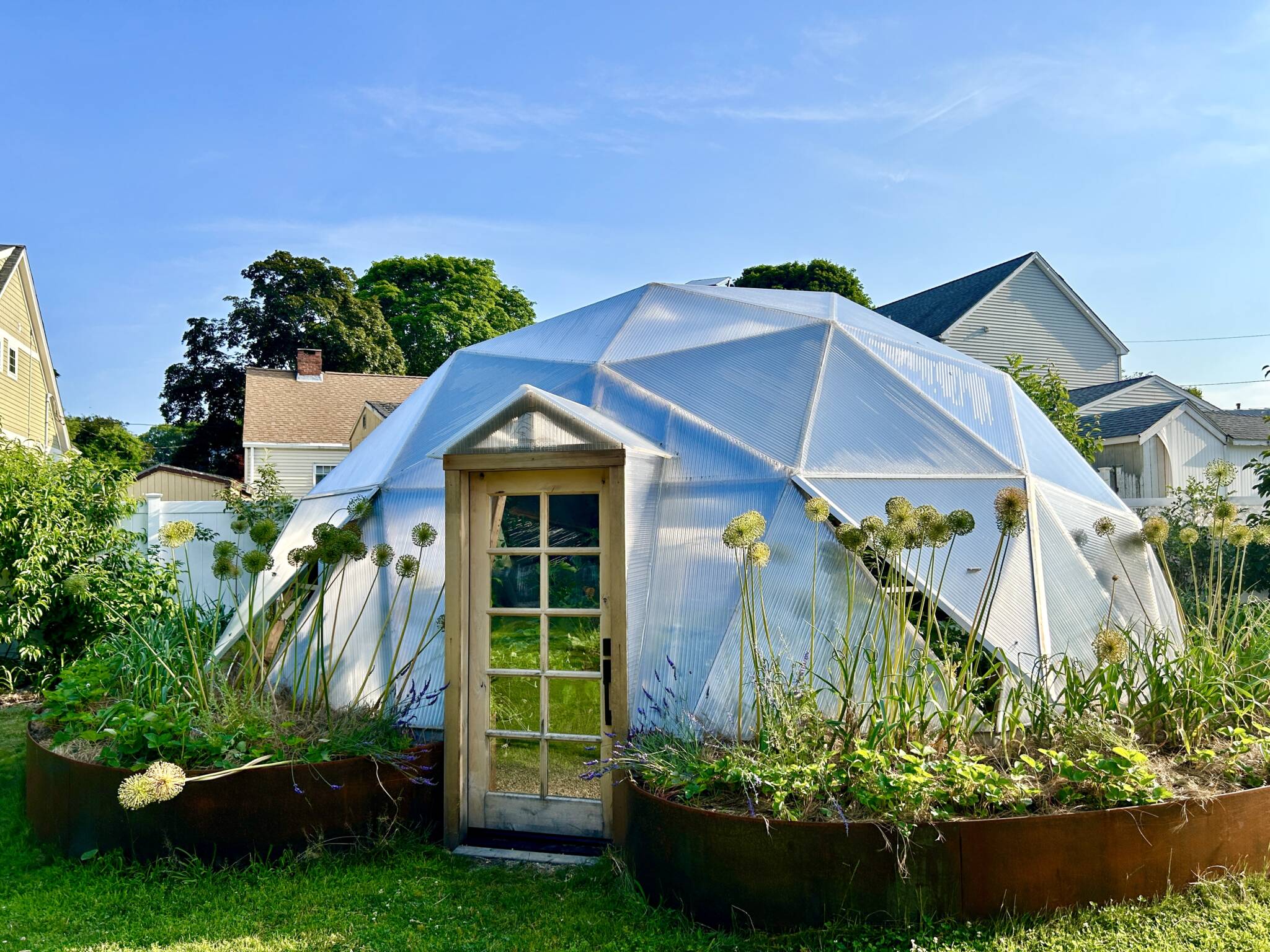 growing dome greenhouse with raised beds full of vegetation and alliums on the outside and neighborhood houses in the background