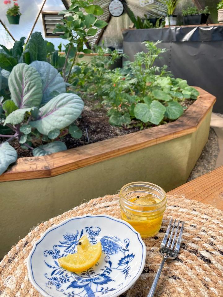 preserved lemons, a good example of fermentation, on a china plate with the jar sitting next to it inside a Growing Dome