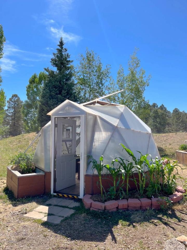 corn growing outside is much shorter than inside the growing dome