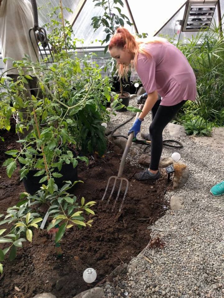 planting in biodome greenhouse