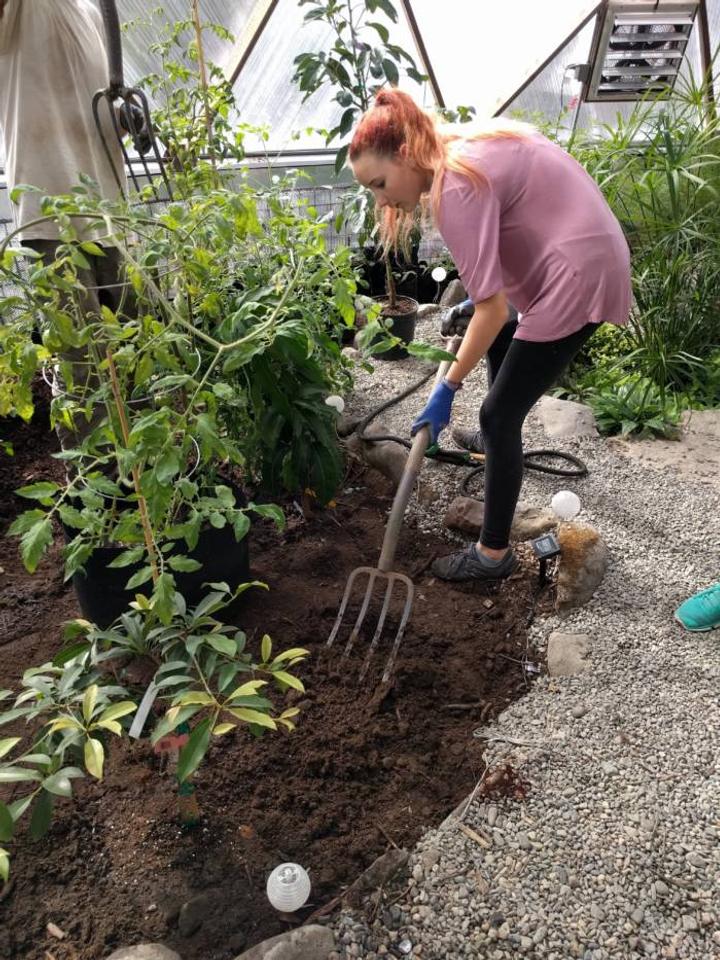 planting in biodome greenhouse