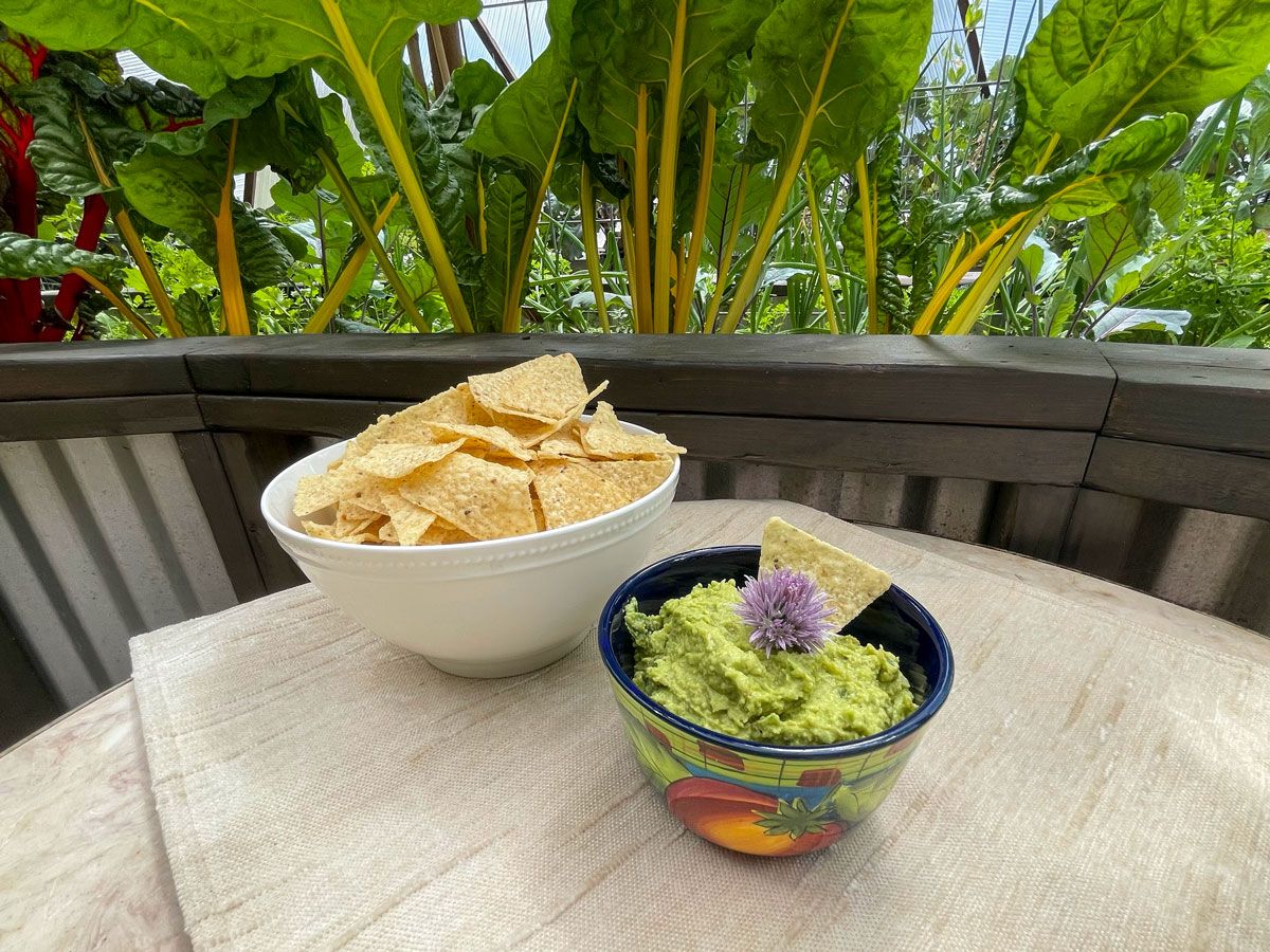 bowl of guacamole and chips with a raised bed of swiss chard growing in the background