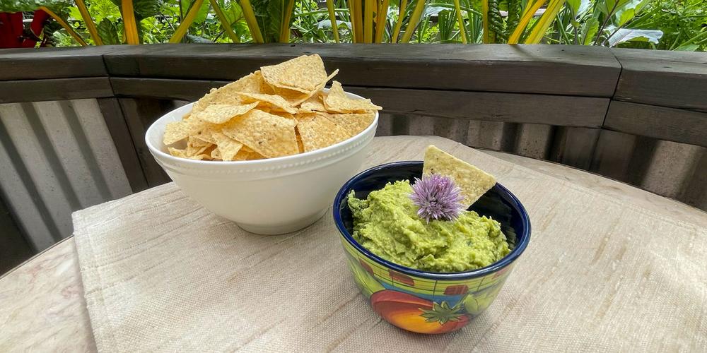 bowl of guacamole and chips with a raised bed of swiss chard growing in the background