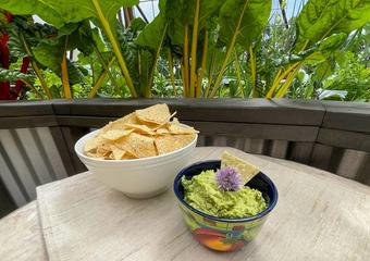 bowl of guacamole and chips with a raised bed of swiss chard growing in the background