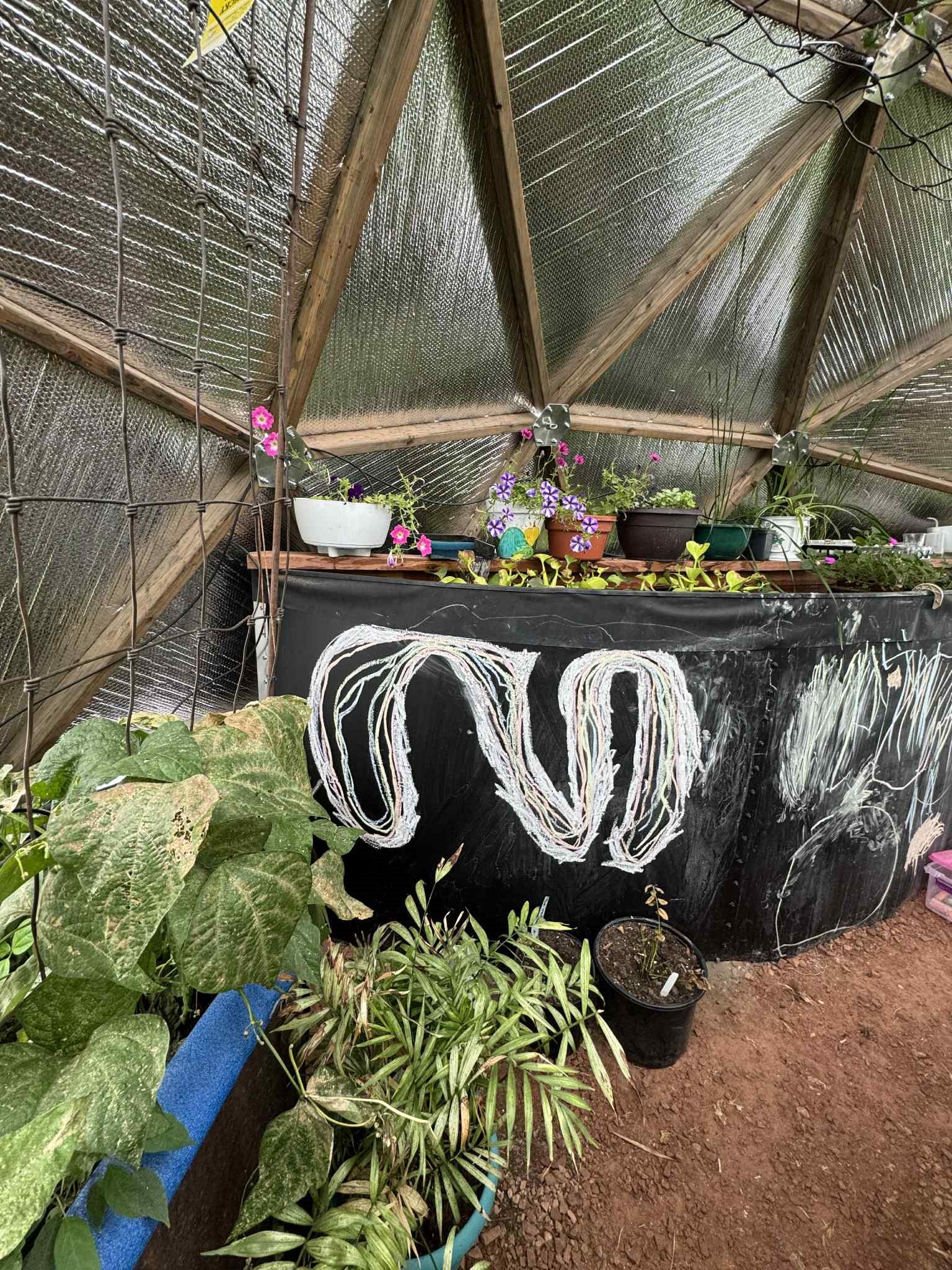 looking at the north wall and the pond in the Nielson Nebraska greenhouse