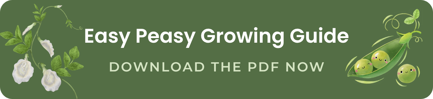 easy peasy growing guide download the pdf now