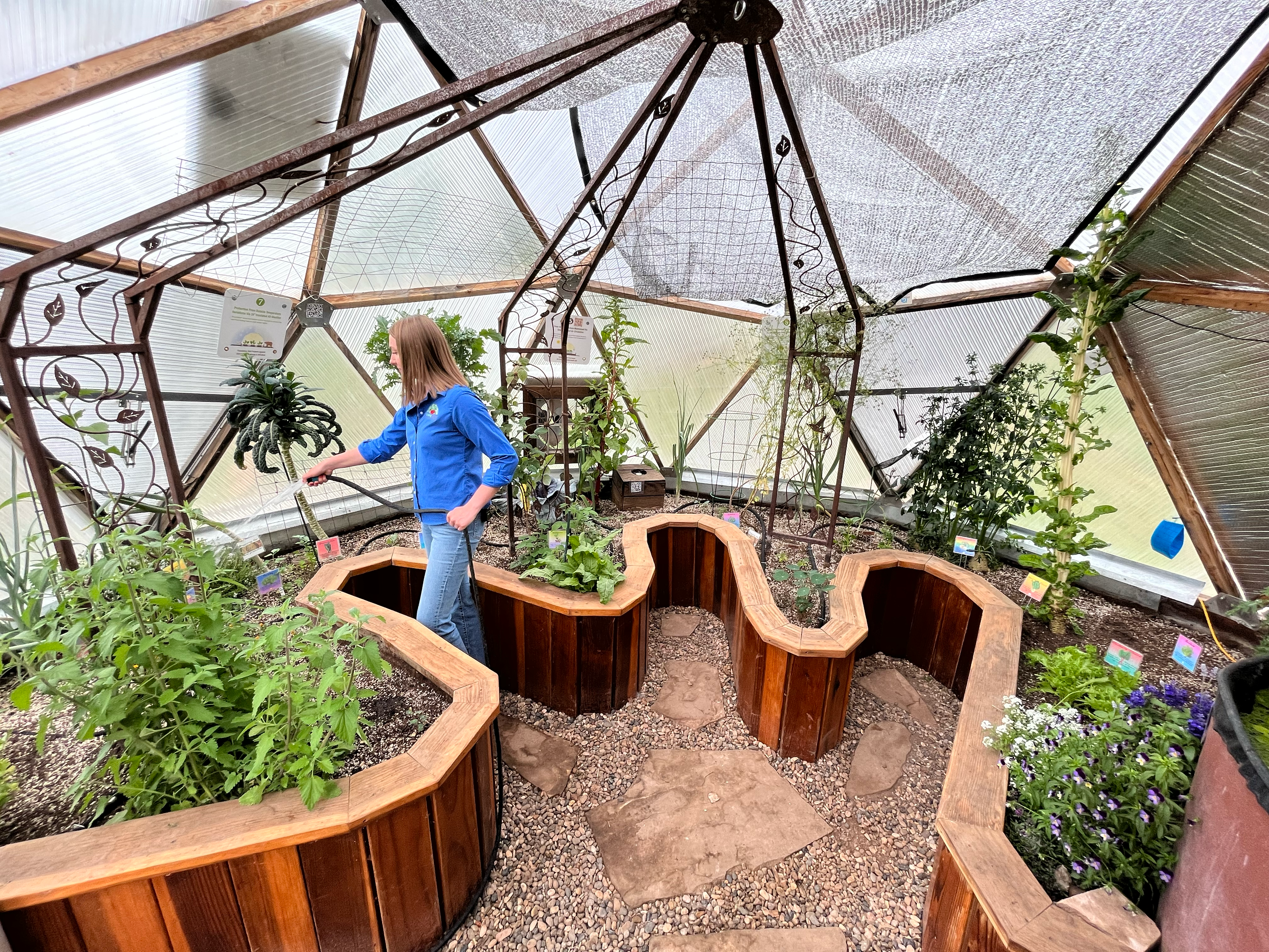 person watering raised beds with a hose inside a geodesic greenhouse