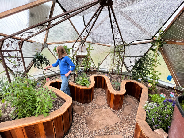 person watering raised beds with a hose inside a geodesic greenhouse