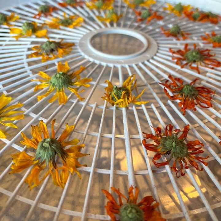 How to make calendula oil - dried flowers