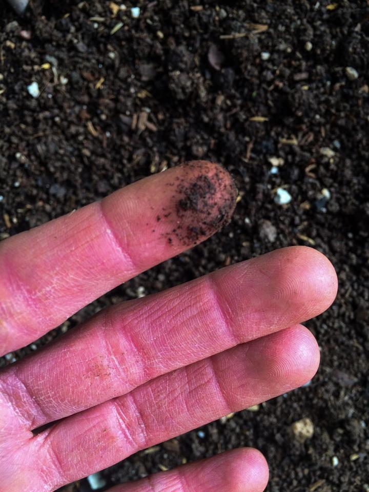 Healthy Soil finger Test