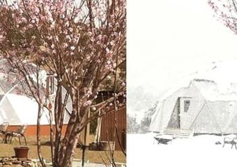 2013.05-Cate-Graber-26-web